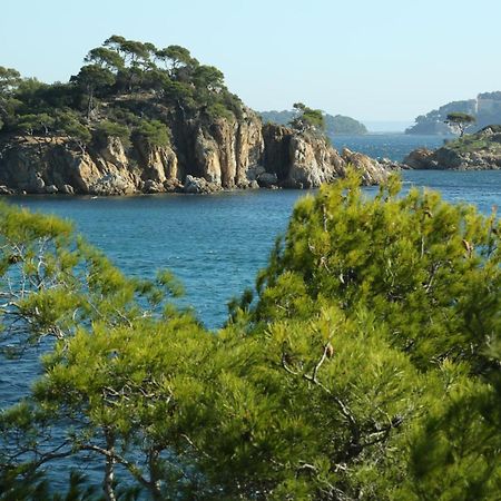 Location Corsica Διαμέρισμα Cavalaire-sur-Mer Εξωτερικό φωτογραφία